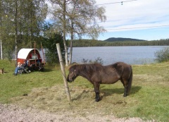 PowWow in Nord-Värmland