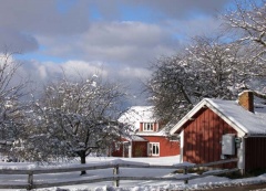 Winterlandschaft