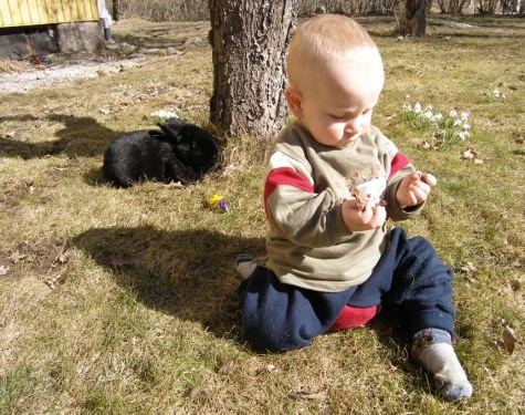 unser jüngster Hase