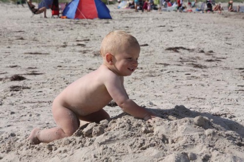 kleiner Strandhase auf Sandberg