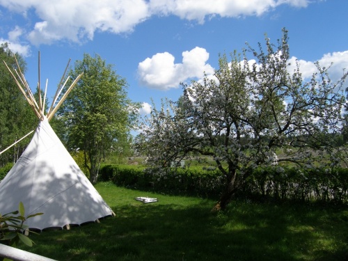 Tipi