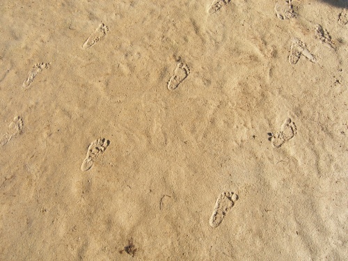 kleine Spuren im Sand ...