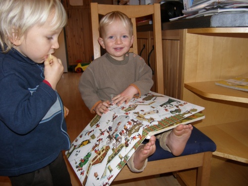 Emanuel mag buu (Buch)