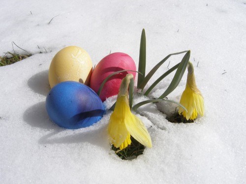 Ostern mit Schnee