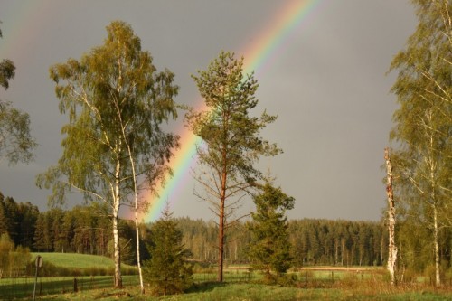 Regenbogen