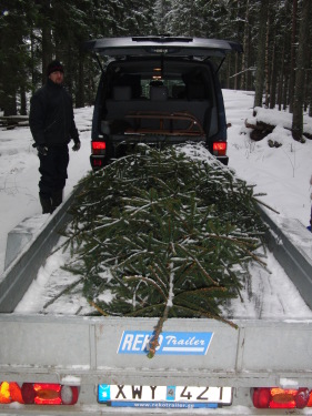 Unternehmen Weihnachtsbaum 2