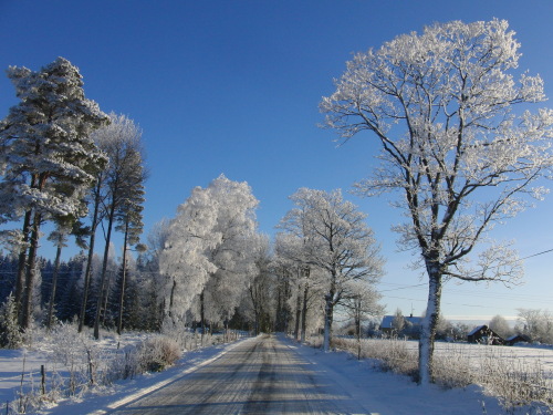 Winterlandschaft