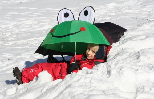 Schneefrosch