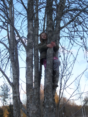 auf dem Baum