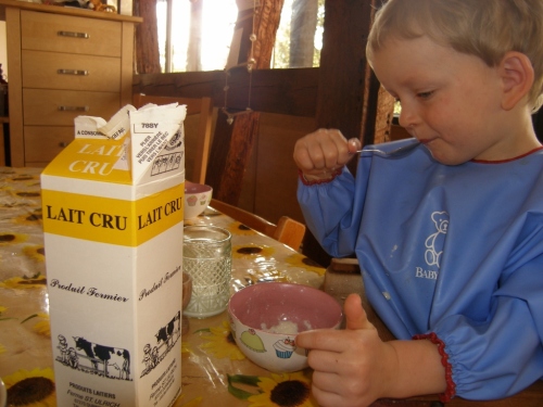 Rohmilch im Tetra Pack