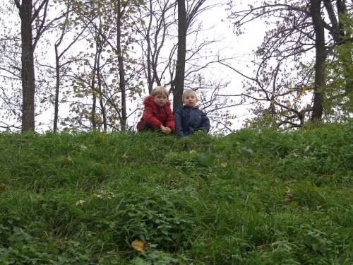 auf der Mauer 3