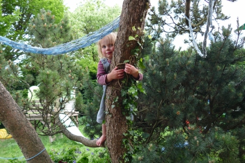 auf dem Baum