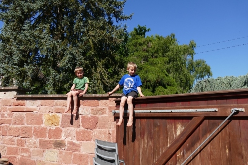 auf der Mauer